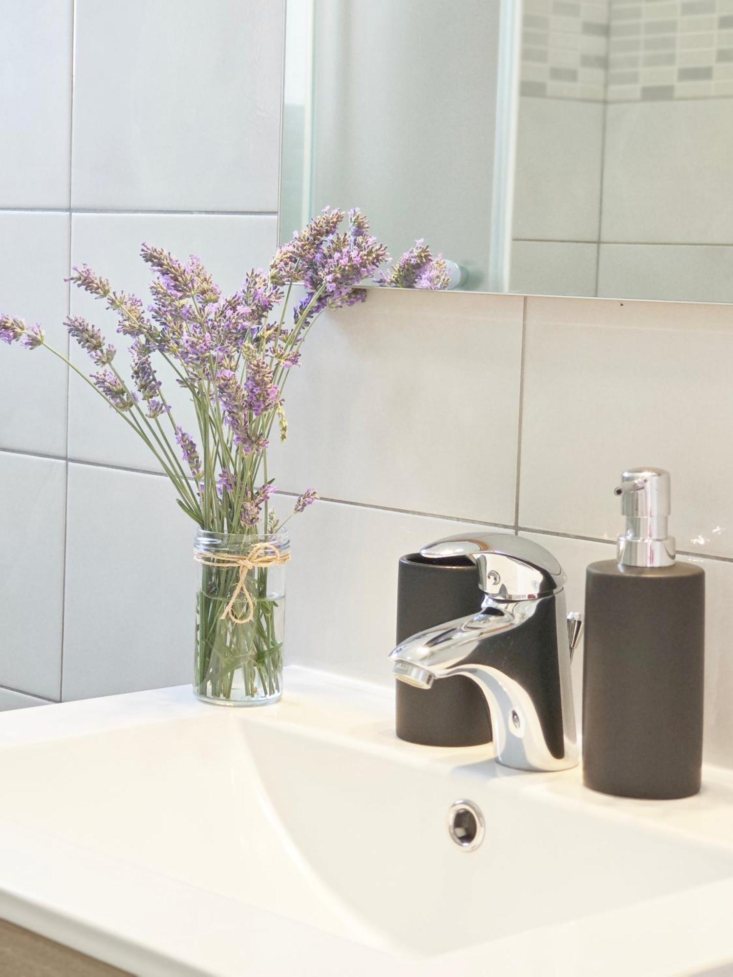 Apartment Arta Водице Экстерьер фото