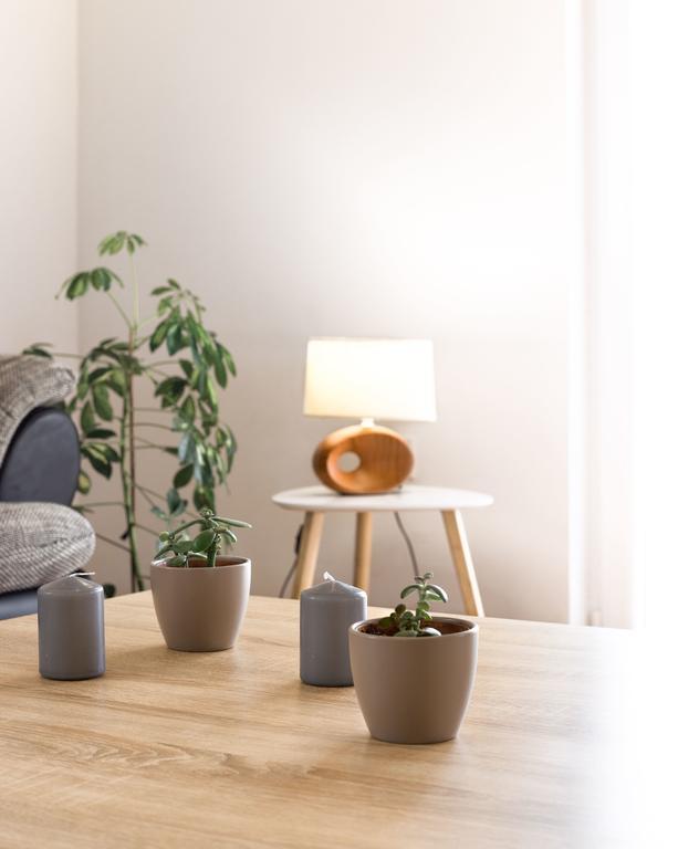 Apartment Arta Водице Экстерьер фото